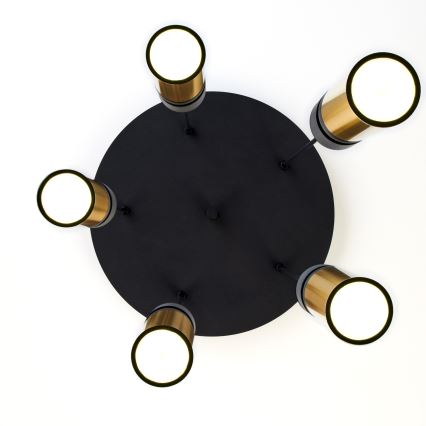 Jupiter 2017 - Chandelier on a string ALAS 5xGU10/10W/230V gold/black