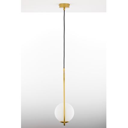 Jupiter 2042 - Chandelier on a string IGON 1xE14/40W/230V gold