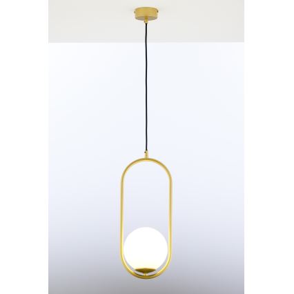 Jupiter 2042 - Chandelier on a string IGON 1xE14/40W/230V gold