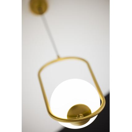 Jupiter 2042 - Chandelier on a string IGON 1xE14/40W/230V gold