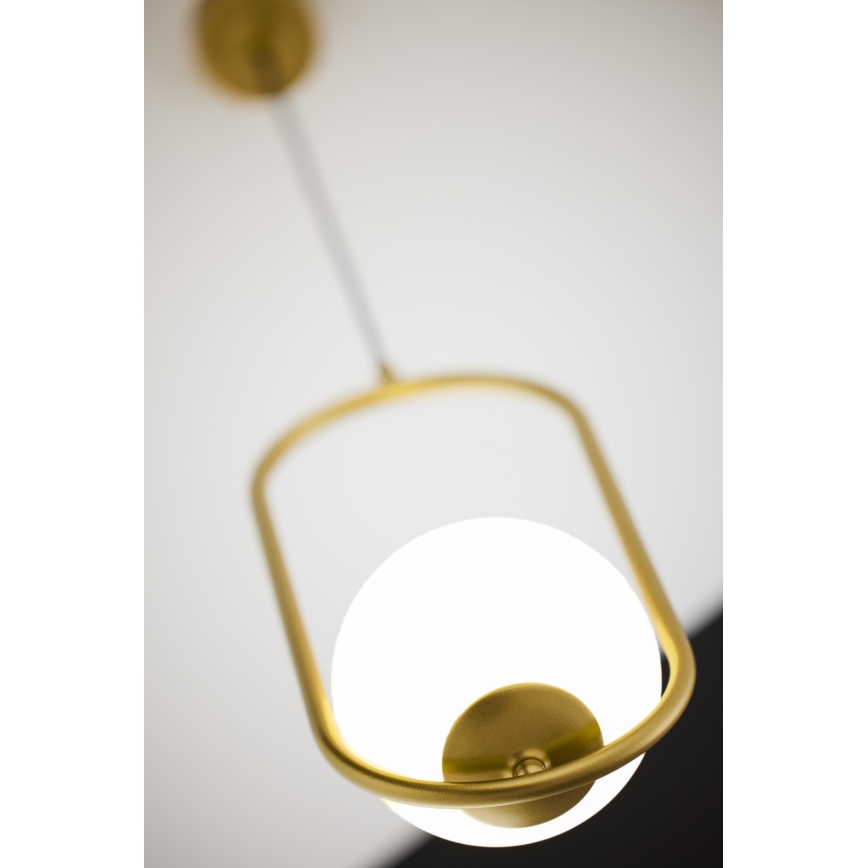 Jupiter 2042 - Chandelier on a string IGON 1xE14/40W/230V gold