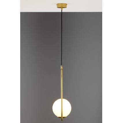 Jupiter 2042 - Chandelier on a string IGON 1xE14/40W/230V gold