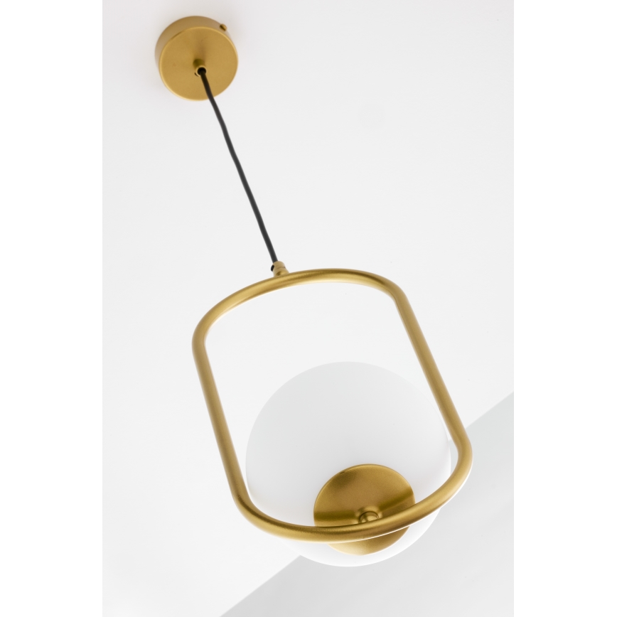 Jupiter 2042 - Chandelier on a string IGON 1xE14/40W/230V gold