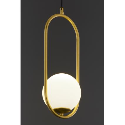 Jupiter 2042 - Chandelier on a string IGON 1xE14/40W/230V gold