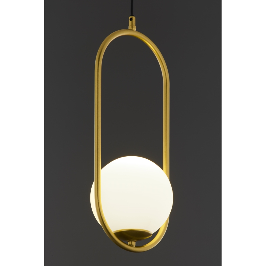 Jupiter 2042 - Chandelier on a string IGON 1xE14/40W/230V gold