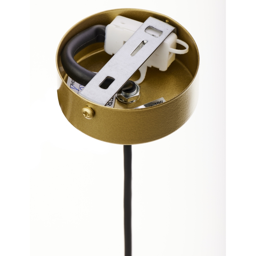 Jupiter 2042 - Chandelier on a string IGON 1xE14/40W/230V gold