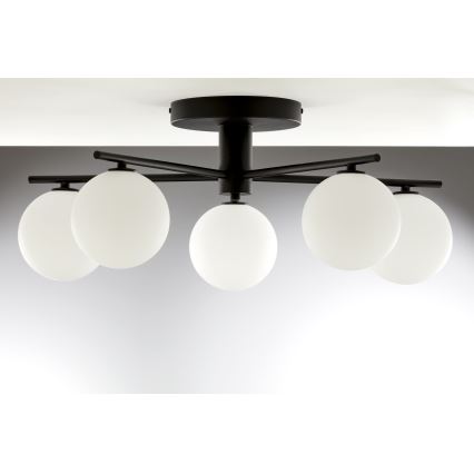Jupiter 2049 - PRATO Flush-Mount Chandelier 5xG9/14W/230V black/white
