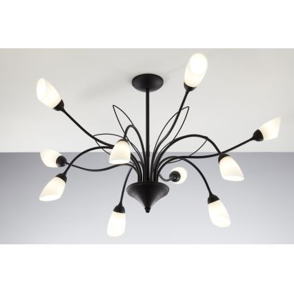 Jupiter 2056 - GLORIOSA Rod-Mounted Chandelier 10xG9/14W/230V Black