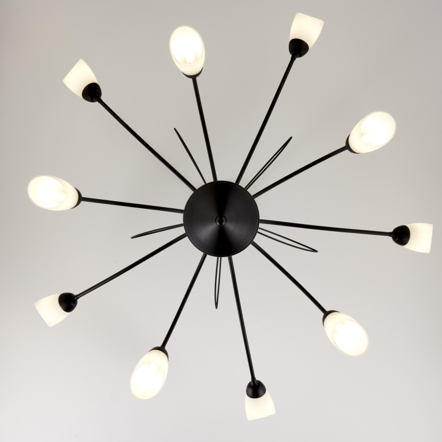 Jupiter 2056 - GLORIOSA Rod-Mounted Chandelier 10xG9/14W/230V Black