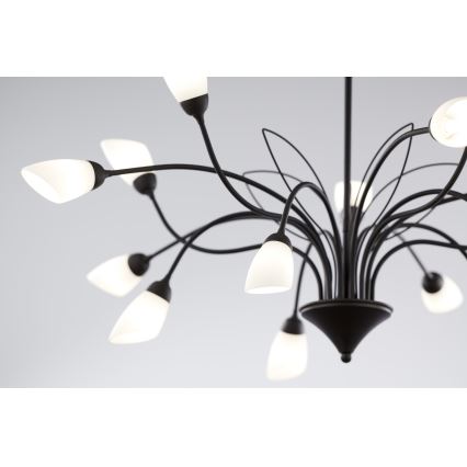 Jupiter 2057 - GLORIOSA Chain-Hung Chandelier 15xG9/14W/230V, Black