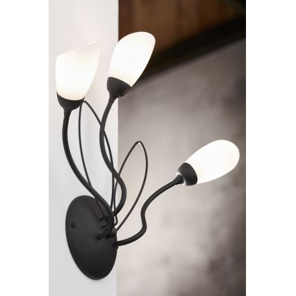 Jupiter 2059 - GLORIOSA Wall Light 3xG9/14W/230V Black