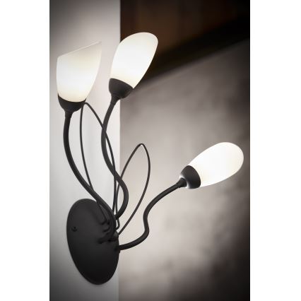 Jupiter 2059 - GLORIOSA Wall Light 3xG9/14W/230V Black