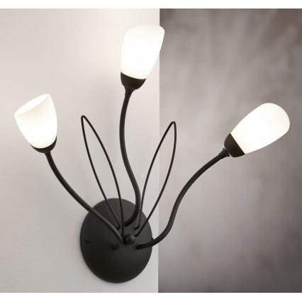 Jupiter 2059 - GLORIOSA Wall Light 3xG9/14W/230V Black
