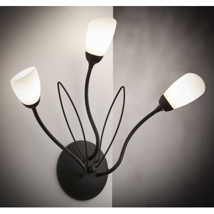 Jupiter 2059 - GLORIOSA Wall Light 3xG9/14W/230V Black
