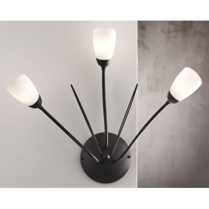 Jupiter 2059 - GLORIOSA Wall Light 3xG9/14W/230V Black
