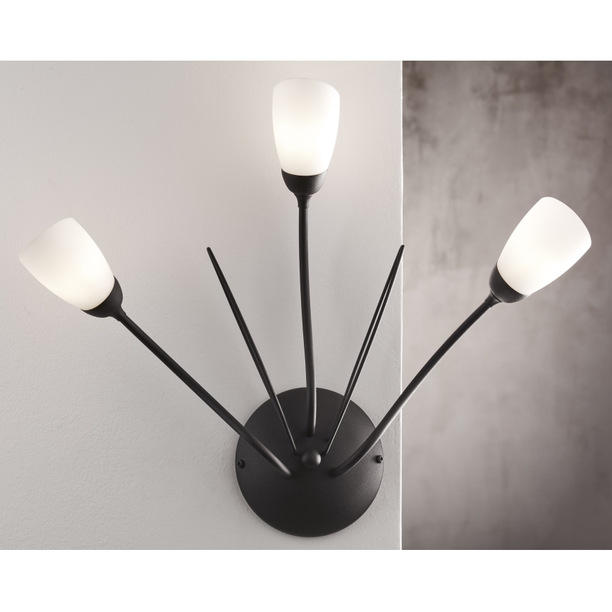 Jupiter 2059 - GLORIOSA Wall Light 3xG9/14W/230V Black