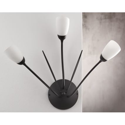 Jupiter 2059 - GLORIOSA Wall Light 3xG9/14W/230V Black