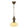 Jupiter 389 - BO-1 - Chandelier on a chain BOLERO 1xE27/60W/230V
