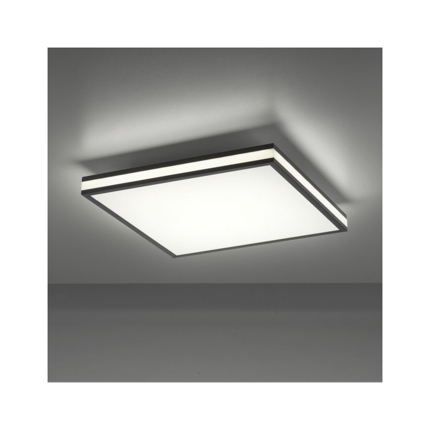 JUST LIGHT. 14110-18 - LED RGBW Dimmable ceiling light MARIO BLACK LED/19,5W/230V 2700-5000K + remote control