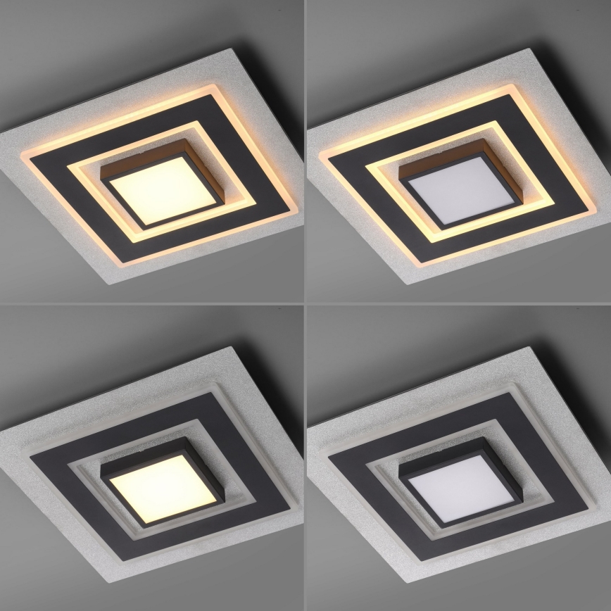 JUST LIGHT. 14439-21 - LED ceiling light CICHIO LED/18.5W/230V + LED/9W 40x40 cm black