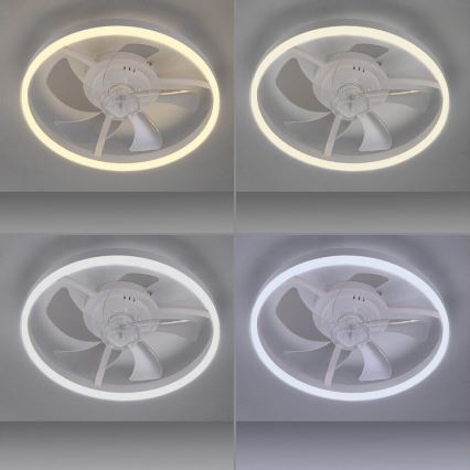 JUST LIGHT. 14624-16 - RITA LED Dimmable Ceiling Fan with Light, 22W LED / 230V, 3000–6000K, Ø 50 cm, White + Remote Control
