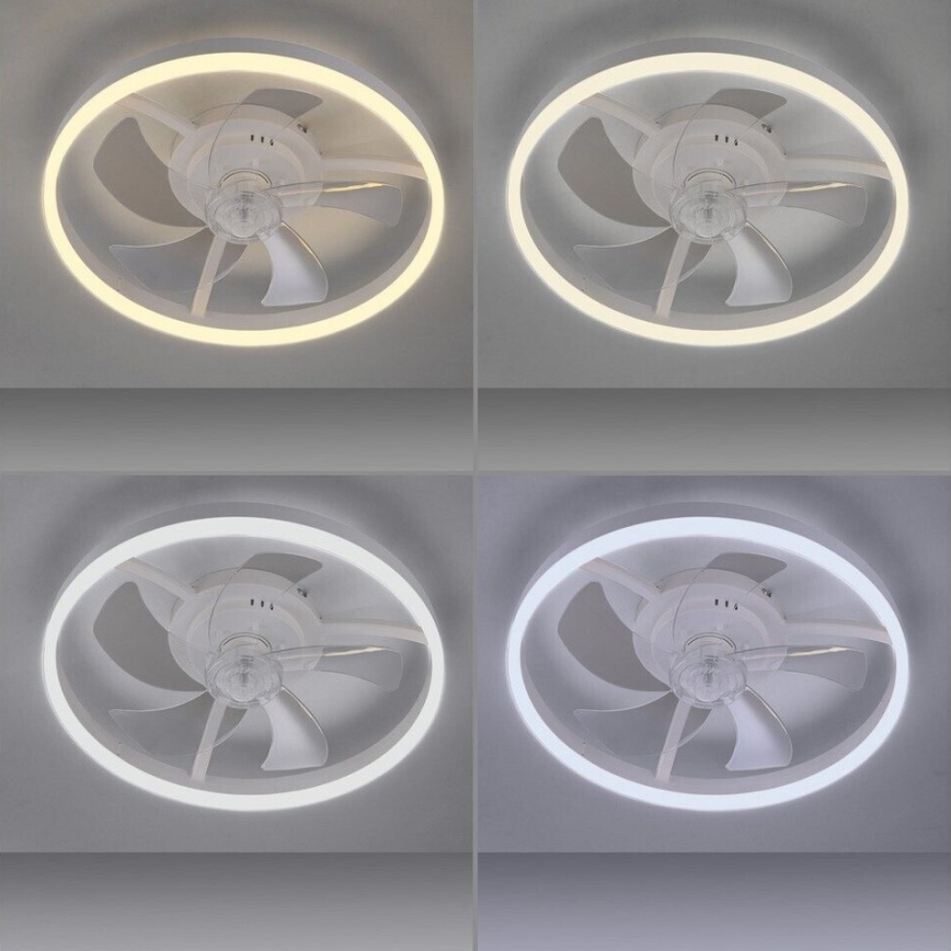 JUST LIGHT. 14624-16 - RITA LED Dimmable Ceiling Fan with Light, 22W LED / 230V, 3000–6000K, Ø 50 cm, White + Remote Control