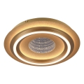 JUST LIGHT. 15089-60 - LED ceiling light CICHIO LED/36W/230V Ø 40 cm gold