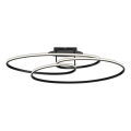 JUST LIGHT. 15321-18 - LED Ceiling light LUMACA LED/33W/230V black