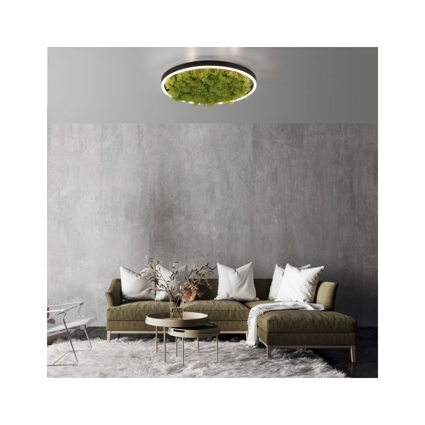 JUST LIGHT. 15391-66 - LED Dimmable ceiling light GREEN RITU LED/20W/230V