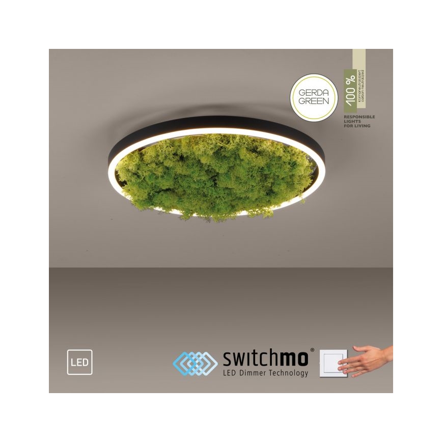 JUST LIGHT. 15391-66 - LED Dimmable ceiling light GREEN RITU LED/20W/230V