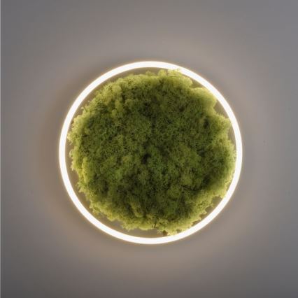JUST LIGHT. 15391-66 - LED Dimmable ceiling light GREEN RITU LED/20W/230V