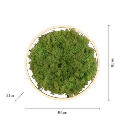 JUST LIGHT. 15391-66 - LED Dimmable ceiling light GREEN RITU LED/20W/230V