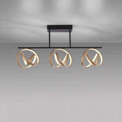 JUST LIGHT. 6245-18 - LED Dimmable surface-mounted chandelier LOOP 3xLED/11W/230V 2700-5000K + remote control