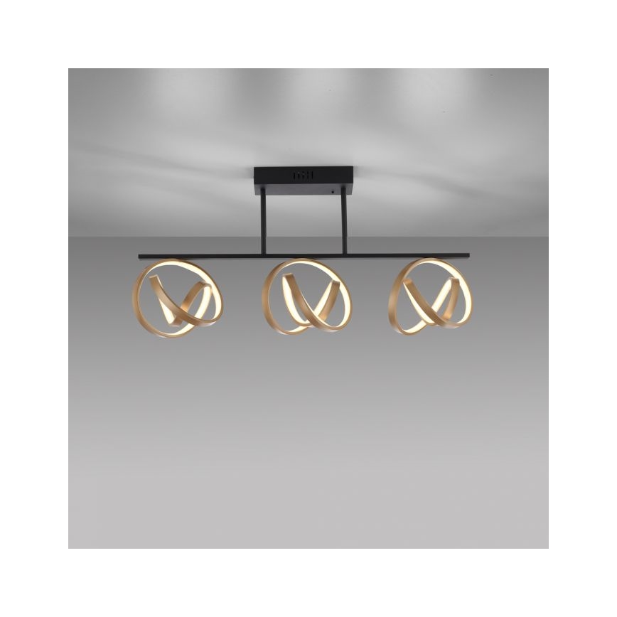 JUST LIGHT. 6245-18 - LED Dimmable surface-mounted chandelier LOOP 3xLED/11W/230V 2700-5000K + remote control