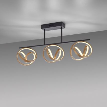 JUST LIGHT. 6245-18 - LED Dimmable surface-mounted chandelier LOOP 3xLED/11W/230V 2700-5000K + remote control