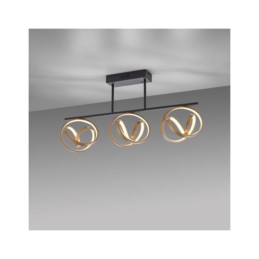 JUST LIGHT. 6245-18 - LED Dimmable surface-mounted chandelier LOOP 3xLED/11W/230V 2700-5000K + remote control