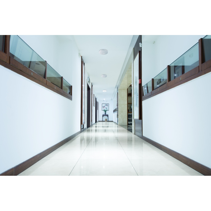 LED Ceiling Light with Motion and Dusk Sensor FOGLER LED/24W/230V Ø 38 cm