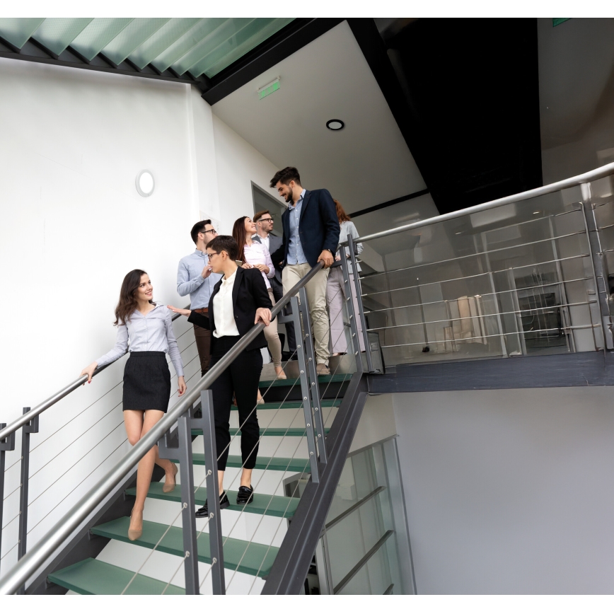 LED Ceiling/recessed light with motion sensor 2in1 ERGA LED/17W/230V 3000/4000/6500K black