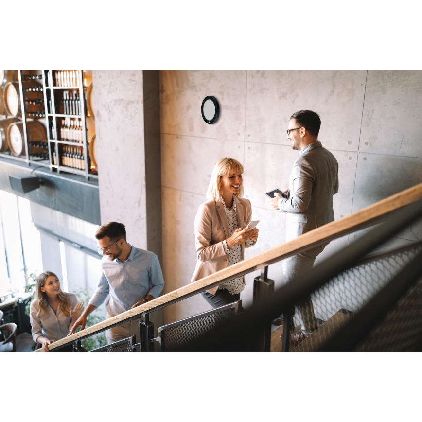 ERGA 2-in-1 LED Ceiling/Recessed Fixture LED/17W/230V 3000/4000/6500K Black