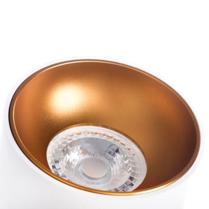 Spotlight RITI 1xGU10/10W/230V white/gold