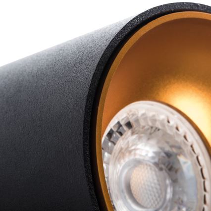 Spotlight RITI 1xGU10/10W/230V black/gold