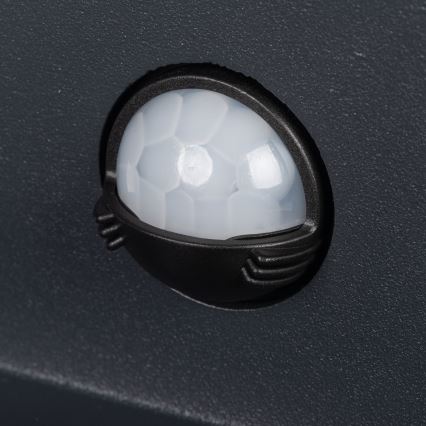 REKA LED/7W/230V IP54 Outdoor Wall Light with Motion and Dusk Sensor, Anthracite, Square