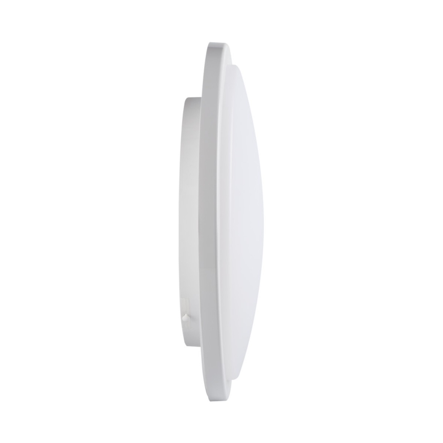 LED Bathroom ceiling light ORTE LED/24W/230V IP54