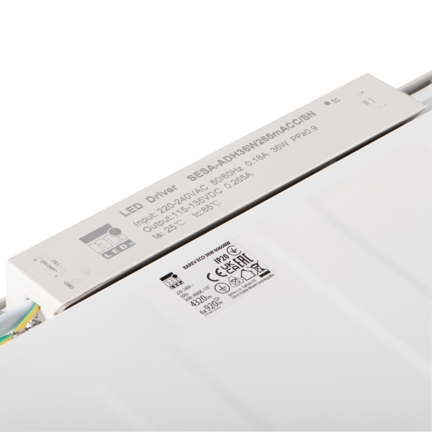 LED Recessed panel BAREV ECO LED/36W/230V 4000K 60x60 cm