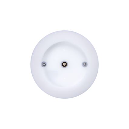 LED Outdoor ceiling light TURA LED/15W/230V 4000K IP54 black