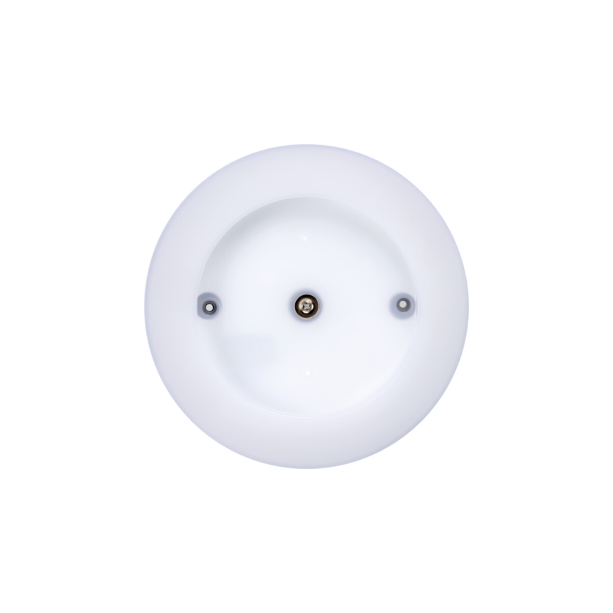LED Outdoor ceiling light TURA LED/15W/230V 4000K IP54 black
