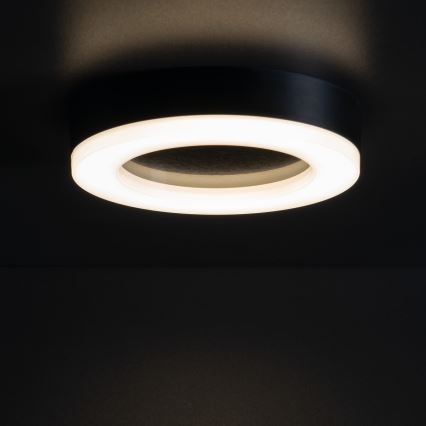 LED Outdoor ceiling light TURA LED/24W/230V 4000K IP54 black