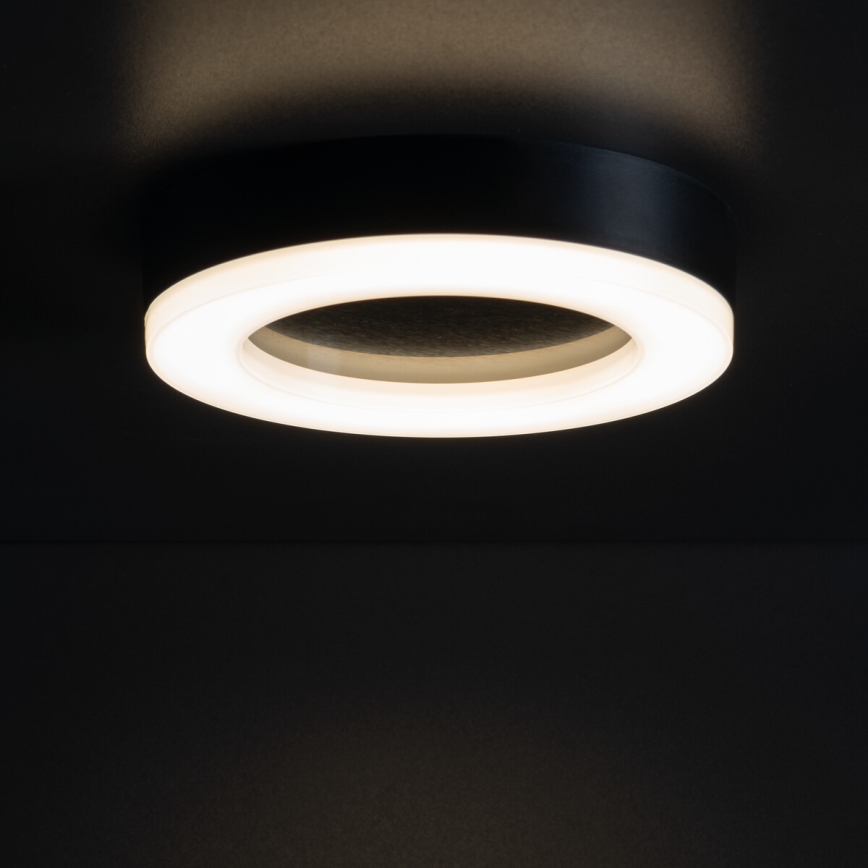LED Outdoor ceiling light TURA LED/24W/230V 4000K IP54 black