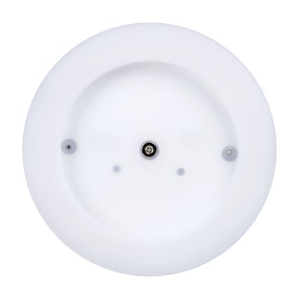 LED Outdoor ceiling light TURA LED/24W/230V 4000K IP54 black