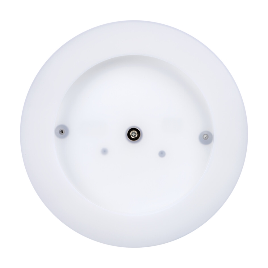 LED Outdoor ceiling light TURA LED/24W/230V 4000K IP54 black